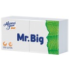 Салфетки «Мягкий знак» Mr. Big 24х24 см, белые, 1 слой, 250 листов - Фото 2