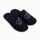 Тапочки мужские, цвет синий, размер 45 - Фото 1