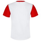 Футболка спортивная ONLYTOP man, размер 42 - Фото 5