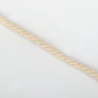Нить для плетения, хлопок, d = 2,5 мм, 10 ± 0,5 м, цвет бежевый - Фото 4