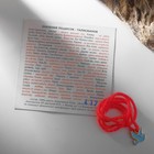 Браслет-оберег «Красная нить» голубь, цвет голубой в золоте - Фото 2