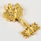 Сувенирный ключ «Волшебный ключик», металл, 3 х 5 см - Фото 3
