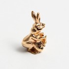 Кошельковая фигурка «Кроличья лапка на удачу!», металл, 2 х 2 см - Фото 2
