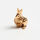 Кошельковая фигурка «Кроличья лапка на удачу!», металл, 2 х 2 см - Фото 3