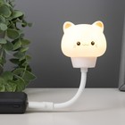 Подсветка для клавиатуры "Котенок" LED ночник USB белый 6,8х6х19 см RISALUX - фото 109611617
