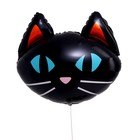 Шар фольгированный 24" «Чёрная кошка» - фото 318977982