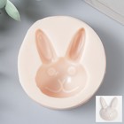 Молд силиконовый "Кролик" 3,5х4,8 см МИКС - Фото 1