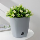 Горшок для цветов с прикорневым поливом Amsterdam, 2,5 л, d=17 см, h=16,5 см, цвет серый - Фото 1