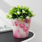 Кашпо для цветов со вставкой London Orchid Deco, 1,6 л, d=16 см, h=14,5 см, цвет розовая орхидея 9164384 - фото 9873763