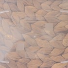 Контейнер для продуктов Micro Top Box, 1,3 л, 20×15×6,5 см, прямоугольный, цвет голубой 9164405