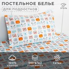 Постельное бельё Этель 1,5 сп «Зверята» 143х215 см, 155х214 см, 50х70 см -1 шт, 100% хлопок, сатин 9039365 - фото 11928528