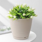 Горшок для цветов с поддоном Saffron, 2.6 л, d=17.6 см, h=16.2 см, пластиковый, бежевый - Фото 1