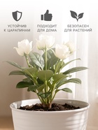 Горшок цветочный с поддоном Saffron, 2.6 л, d=17.6 см, h=16.2 см, пластиковый, бежевый - Фото 3