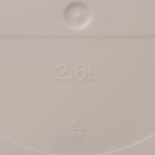 Горшок для цветов с поддоном Saffron, 2.6 л, d=17.6 см, h=16.2 см, пластиковый, бежевый - Фото 5