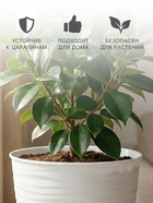 Горшок для цветов с поддоном Saffron, 1.5 л, d=14.6 см, h=13.5 см, пластиковый, белый - Фото 3