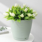 Горшок для цветов с поддоном Saffron, 1,5 л, d=14,6 см, h=13,5 см, цвет светло-зелёный - фото 9874439