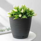 Горшок для цветов с поддоном Saffron, 2.6 л, d=17.6 см, h=16.2 см, пластиковый, серый - Фото 1