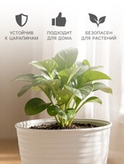 Горшок цветочный с поддоном Saffron, 5.4 л, d=22.4 см, h=20.5 см, пластиковый, бежевый - Фото 3