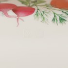 Миска пластиковая Bergamo, 4 л, 25,3×25,3×12,3 см, с декором, цвет светло-бежевый - Фото 4
