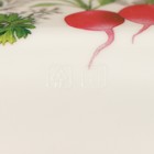 Миска пластиковая Bergamo, 2 л, 20,2×20,2×9,8 см, с декором, цвет светло-бежевый - фото 4357649