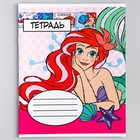 Набор тетрадей 10 штук, 12 листов, в клетку, обложка бумага мелованная, Принцессы - фото 24622351