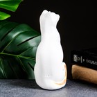 Фигура "Кошка Мурка" белый, 20х11х8см - фото 35738303