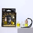 Ароматизаторы в машину новогодние «Хозяину жизни», цитрус, тропики, парфюм, набор 3 шт - Фото 2