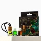 Ароматизаторы в машину «С новым счастьем», ваниль, дыня, яблоко, набор 3 шт - Фото 2