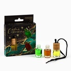 Ароматизаторы в машину «С новым счастьем», ваниль, дыня, яблоко, набор 3 шт - Фото 3