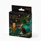 Ароматизаторы в машину «С новым счастьем», ваниль, дыня, яблоко, набор 3 шт - Фото 5