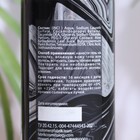 Гель для душа парфюмированный 2 в 1 Black Ice, Fabrik Cosmetology, 250 мл - Фото 2