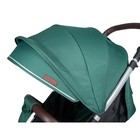 Коляска прогулочная Farfello Bino Angel Plus, цвет ultramarine green - Фото 18