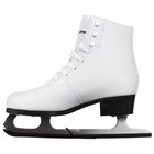 Коньки фигурные Winter Star прокат, искусственная кожа, размер 33 - фото 23252191