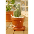 Мраморная крошка «Рецепты Дедушки Никиты», серая, фр 10-20 мм, 1 кг - Фото 5