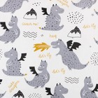 Постельное бельё Этель 1,5 сп "Dragon" 143х215 см, 155х214 см, 50х70 см -1 шт, 100% хлопок, сатин - фото 805303594