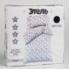 Постельное бельё Этель 1,5 сп "Dragon" 143х215 см, 155х214 см, 50х70 см -1 шт, 100% хлопок, сатин - фото 805303596