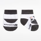 Набор носков Крошка Я «Зебра», 2 пары, 6-8 см - фото 29789201