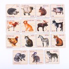 Картинки-половинки «Животные», 15 карточек - Фото 2