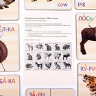 Картинки-половинки «Животные», 15 карточек - Фото 4