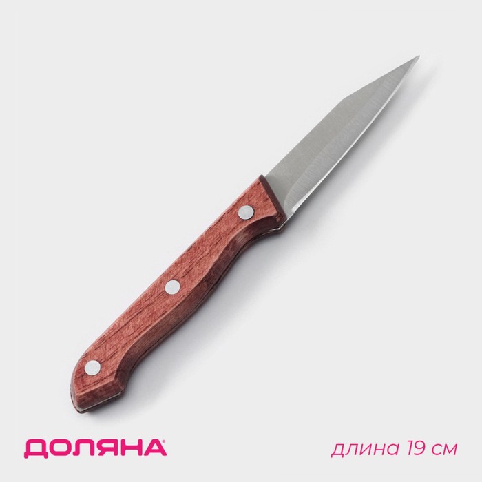 Нож для овощей кухонный Доляна Ecology, лезвие 8,5 см, цвет коричневый - Фото 1