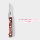 Нож для овощей кухонный Доляна Ecology, лезвие 8,5 см, цвет коричневый - фото 4357732