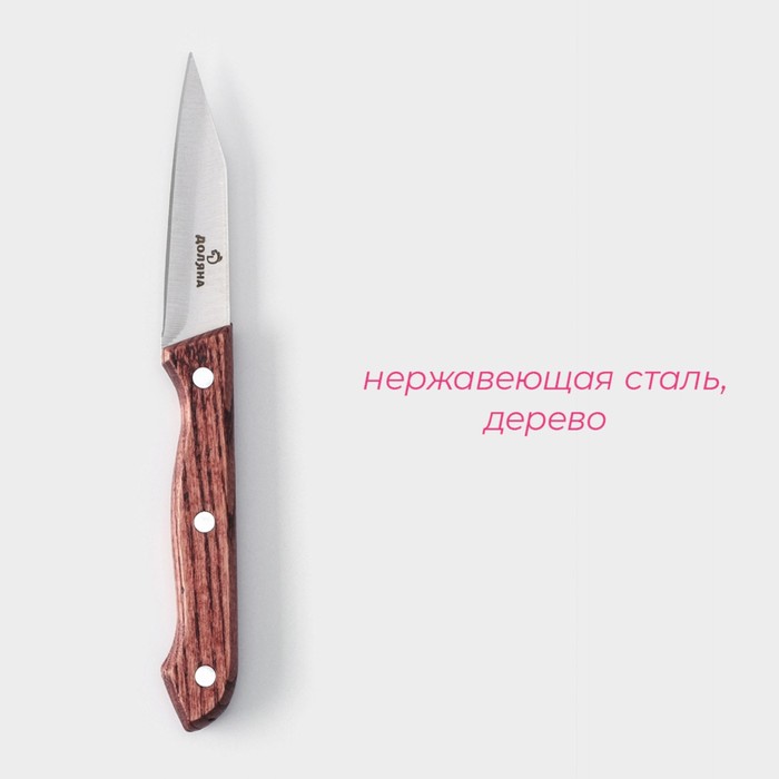 Нож для овощей кухонный Доляна Ecology, лезвие 8,5 см, цвет коричневый - фото 1927953854