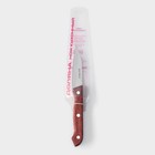 Нож для овощей кухонный Доляна Ecology, лезвие 8,5 см, цвет коричневый - фото 4357734