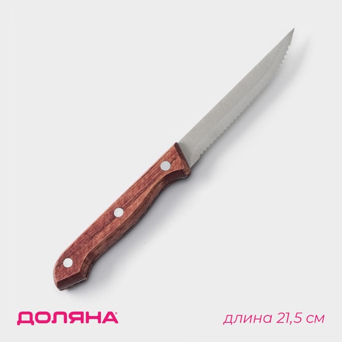 Нож для мяса и стейков Доляна Ecology, лезвие 11 см, цвет коричневый - Фото 1