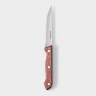 Нож для мяса и стейков Доляна Ecology, лезвие 11 см, цвет коричневый - Фото 3