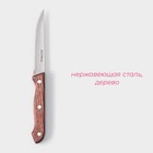 Нож для мяса и стейков Доляна Ecology, лезвие 11 см, цвет коричневый - Фото 2