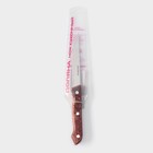 Нож для мяса и стейков Доляна Ecology, лезвие 11 см, цвет коричневый - Фото 4