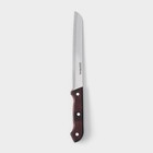 Нож для хлеба Доляна Ecology, лезвие 20 см, цвет коричневый - фото 4357745