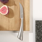 Нож для овощей кухонный Magistro Ardone, лезвие 8,5 см, цвет серебристый - фото 320363487