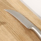 Нож для овощей кухонный Magistro Ardone, лезвие 8,5 см, цвет серебристый - Фото 3